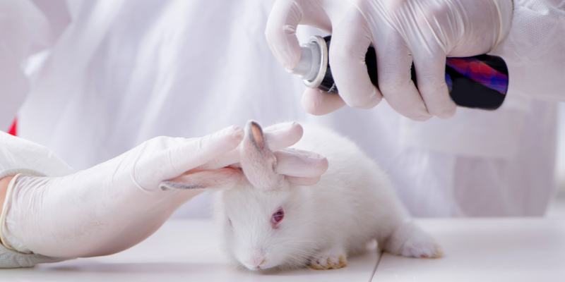 Focus on Developing Alternatives to Animal Testing: A Driver for Non-animal Testing Sector